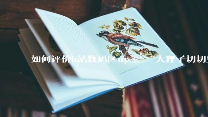 如何评价b站数码区up主 “大狸子切切里”?