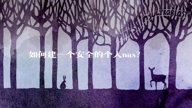 如何建一个安全的个人nas？