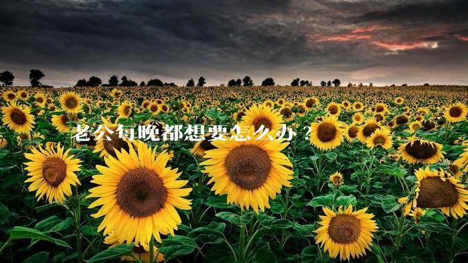 老公每晚都想要怎么办?
