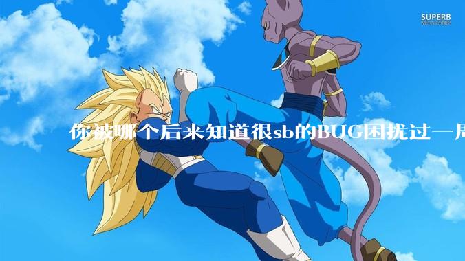 你被哪个后来知道很sb的BUG困扰过一周以上吗？