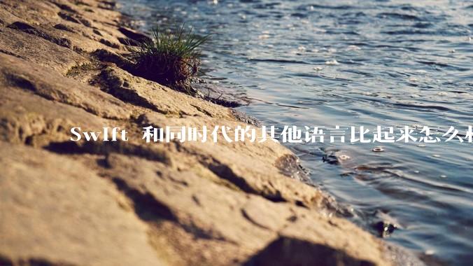 Swift 和同时代的其他语言比起来怎么样？