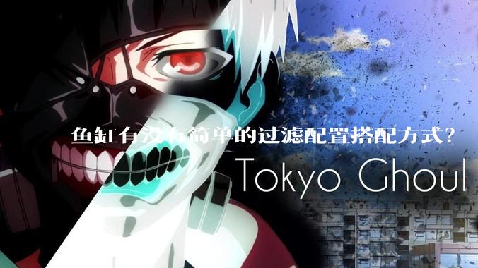 鱼缸有没有简单的过滤配置搭配方式？