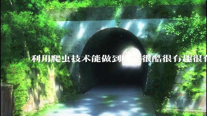 利用爬虫技术能做到哪些很酷很有趣很有用的事情？
