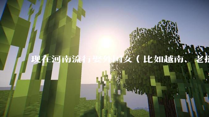 现在河南流行娶外国女（比如越南、老挝）结婚了吗？
