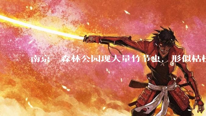 南京一森林公园现大量竹节虫，形似枯枝，网友称凑近才发现是虫子落荒而逃，竹节虫会不会咬人？碰到它会怎样？